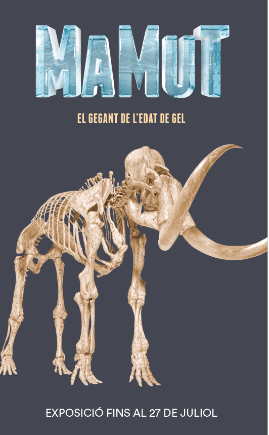 EXPOSICIÓ: MAMUT. EL GEGANT DE L'EDAT DE GEL